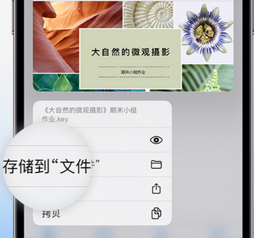 南开apple维修中心分享iPhone文件应用中存储和找到下载文件