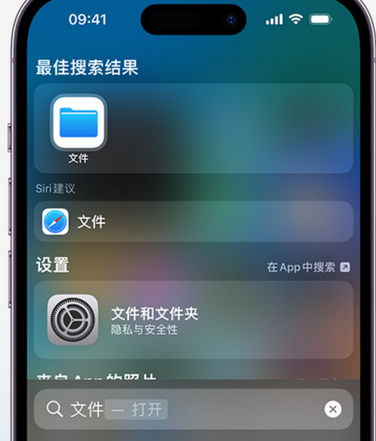 南开apple维修中心分享iPhone文件应用中存储和找到下载文件