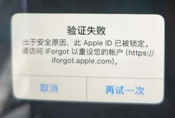 南开iPhone维修分享iPhone上正常登录或使用AppleID怎么办 