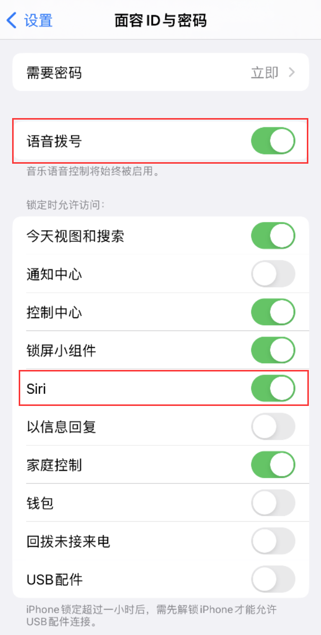 南开苹果维修网点分享不解锁 iPhone 的情况下通过 Siri 拨打电话的方法 