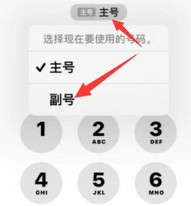 南开苹果14维修店分享iPhone 14 Pro Max使用副卡打电话的方法 