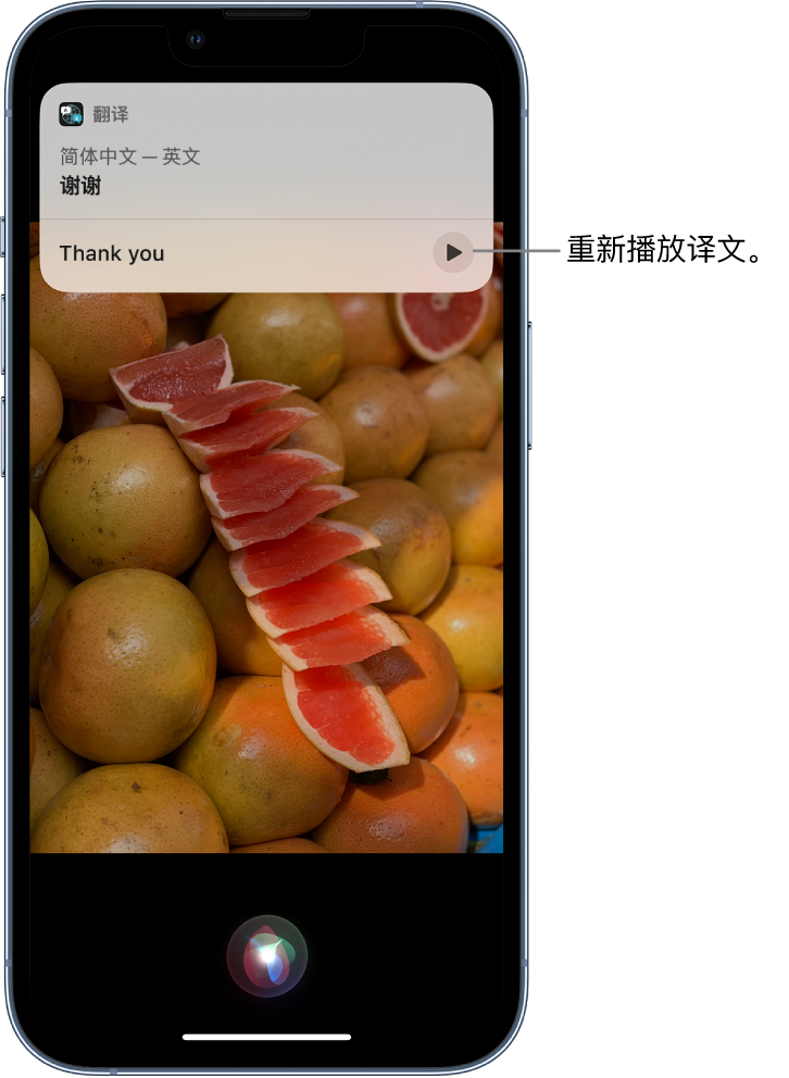 南开苹果14维修分享 iPhone 14 机型中使用 Siri：了解 Siri 能帮你做什么 