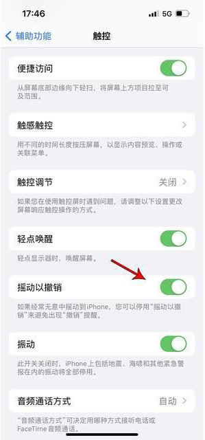 南开苹果手机维修分享iPhone手机如何设置摇一摇删除文字 